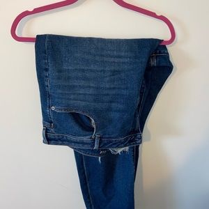 AE Mom Jean Plus Size